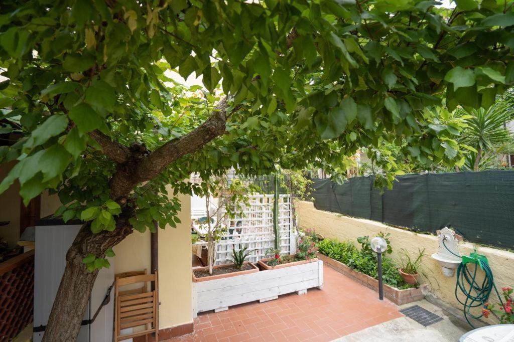 Apartment Ilios Tropea